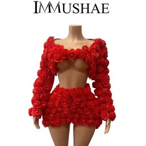 Red Rose Mini Two Piece Skirt Set